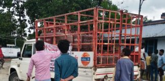 दैनिक भास्कर खबर का असर:पोखरा बाजार में 50 उपभोक्ताओं को मिली राहत, गैस सिलेंडर वितरित