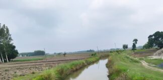 नहर में पानी आने से किसानों को लाभ:धान की रोपाई के लिए मिली सुविधा, कई गांवों को फायदा