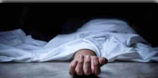 शिमला: केंद्रीय विद्यालय जतोग में दर्दनाक हादसा, छत से गिरकर मजदूर की मौत