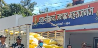 महराजगंज में 70 बोरी यूरिया खाद बरामद:नेपाल तस्करी के आरोप में पिकअप के साथ ड्राइवर गिरफ्तार