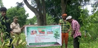 कप्तानगंज ब्लॉक में वृहद पौधरोपण अभियान:53 ग्राम पंचायतों में ‘एक पेड़ मां के नाम’ पहल