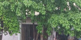 बस्ती के अमोढ़ा में मौसम बदला:सुबह हल्की बारिश, दोपहर में उमस से लोग परेशान