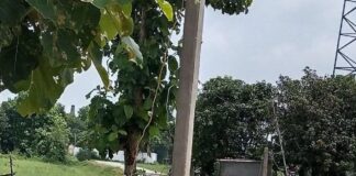 बस्ती में सड़क के बीच बिजली का खंभा:निर्माण कार्य जारी, ग्रामीणों में आक्रोश, हादसे का डर