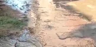 बस्ती के मुख्य पाइपलाइन फटने से सड़क पर जलभराव:आवागमन बाधित, स्थानीय लोग परेशान; प्रशासन से शिकायत