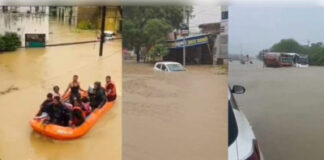 मूसलाधार बारिश से बिलासपुर जलमग्न, 40 से अधिक लोगों का एसडीआरएफ ने किया रेस्क्यू