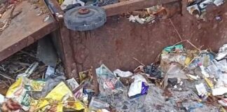 महराजगंज में कूड़े का अंबार, सफाई का इंतजार:बांसपार बैजौली टोला में गंदगी से ग्रामीण परेशान; एडीओ का आश्वासन बेअसर