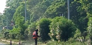 कांवड़ यात्रा से पहले हाईवे डिवाइडरों की सफाई शुरू:हर्रैया में घास-फूस हटाने में जुटे मजदूर, साफ-सफाई का कार्य तेज