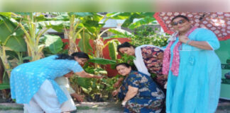 मुरादाबाद में हरित पहल, पौधारोपण अभियान से कॉलोनी को बनाया जा रहा हरा-भरा