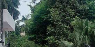 बस्ती में बालू भंडारण-बिक्री में अनियमितता का आरोप:भाजपा नेता ने मुख्यमंत्री से उच्चस्तरीय जांच की मांग की