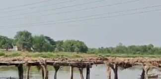 बस्ती के पगारे घाट पर पुल नहीं:हर बरसात में 10 हजार लोग नाव से करते हैं आवागमन