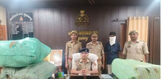 UP: सुल्तानपुर में STF का बड़ा एक्शन, 104 किलो गांजा और डीसीएम समेत तस्कर गिरफ्तार