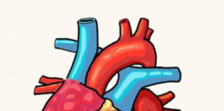 अंगदान अभियान में भाग लेने की अपील