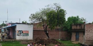 तेज रफ्तार बोलेरो ने साइकिल सवार बुजुर्ग को मारी टक्कर:बहराइच में राशन लेने जा रहे बुजुर्ग का टूटा पैर, हादसे के बाद चालक वाहन समेत फरार