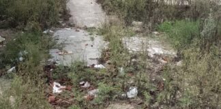 बहराइच के प्राथमिक विद्यालय में गंदगी, जहरीले जीव-जंतुओं का खतरा:सफाई व्यवस्था बदहाल, ग्रामीणों और शिक्षकों को परेशानी