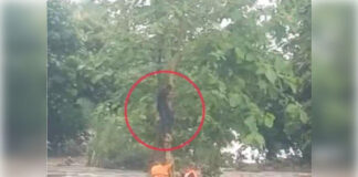 गुजरात में भारी बारिश ने मचाई तबाही, नवसारी में करंट से तीन मजदूरों की मौत