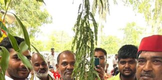 अखिलेश यादव के जन्मदिन पर सपा कार्यकर्ताओं ने मनाया जश्न:बस्ती में पौध वितरित कर विधानसभा जीत का लिया संकल्प