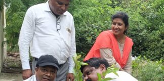 सिकंदरपुर PHC में ‘एक पेड़ मां के नाम’ अभियान:चिकित्सकों और स्वास्थ्यकर्मियों ने किया वृक्षारोपण