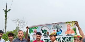 कलवारी बीट में वन महोत्सव 2026 मनाया गया:बहादुरपुर विकासखंड में पर्यावरण संरक्षण हेतु वृक्षारोपण