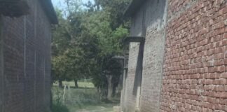 कैदुवा में कच्चा रास्ता:बारिश में घरों से खेतों तक आवागमन बाधित, ग्रामीण परेशान