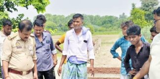 बहराइच में सड़क हादसे में घायल हिरण की मौत:अज्ञात वाहन ने मारी थी टक्कर, समय पर इलाज न मिलने से गई जान