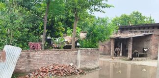 खैरी समैसा में इंटरलॉकिंग सड़क पर जलभराव:ग्रामीणों को आवागमन में परेशानी, ग्राम प्रधान बोले- सड़क नीचे होने से नहीं हो पा रही निकासी