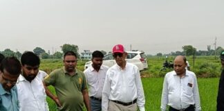 यूपी एग्रीज परियोजना के तहत DSR धान प्रदर्शन का निरीक्षण:बस्ती में किसानों को वैज्ञानिक कृषि पद्धतियों पर तकनीकी सुझाव दिए गए