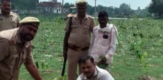 खाद रसद प्रमुख सचिव रणवीर प्रसाद (आईएएस) ने किया पौधरोपण:कैसरगंज में ‘एक पेड़ माँ के नाम’ अभियान का शुभारंभ, दिया पर्यावरण संदेश