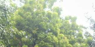 इस्तीफे से आलोचना तक, 5 मंत्री, जंतर मंतर पर जिनके खिलाफ उठ रही आवाज