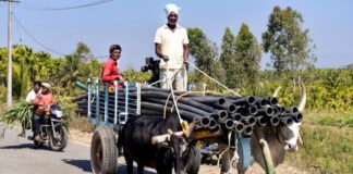 VB GRAM G योजना आज से लागू, किस राज्य में कितनी मिलेगी मजदूरी? जानिए हर बात