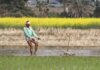 मॉनसून में कम बारिश हो तो कौन सी फसलें उगानी सही रहेंगी? फायदा, नुकसान सब समझिए