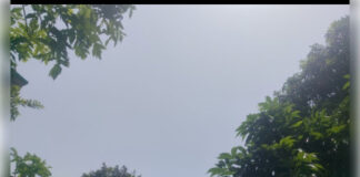 पश्चिम बंगाल में बदला मौसम, कई जिलों में बारिश का अनुमान