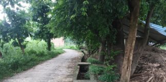 कप्तानगंज में खुली नाली बनी जानलेवा:सावन में शिव मंदिर जाने वाले भक्तों की सुरक्षा पर सवाल