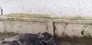 कंपोजिट विद्यालय मैनिहवा के रास्ते में कीचड़ और गंदगी:बच्चों को स्कूल आने-जाने में हो रही परेशानी
