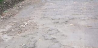 बस्ती के छावनी पीएचसी मार्ग वर्षों से जर्जर:हाईवे से अस्पताल तक मरीजों को आने जाने में परेशानी