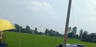 महाराजगंज में अनियंत्रित कार खेत में गिरी:बिजली के खंभे से बचने के प्रयास में हुआ हादसा