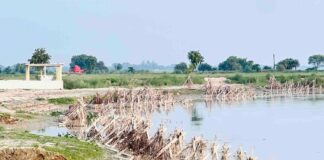 सरयू का जलस्तर घटा तो बढ़ा कटान का खतरा:बस्ती में माझा क्षेत्र पकड़ी संग्राम में तटबंधों पर मंडराया संकट