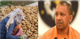 आलू किसानों के लिए यूपी सरकार ने लॉन्च किया नया पोर्टल