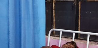खेत से लौट रहे युवक को जहरीले सांप ने काटा:श्रावस्ती में हालत बिगड़ने पर CHC इकौना में भर्ती