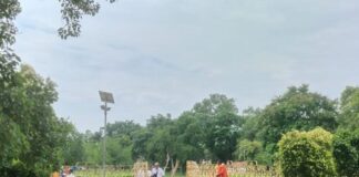 श्रावस्ती में विदेशी बौद्ध श्रद्धालु की आवाजाही बढ़ी:वियतनाम के 55 सदस्यीय दल पहुंचा, बौद्ध तपोस्थली मे आनंद बोधि वृक्ष पर की पूजा