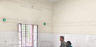 बस्ती में जंगली मशरूम खाने से परिवार के तीन सदस्य:सामुदायिक स्वास्थ्य केंद्र में चल रहा इलाज