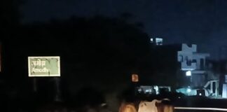 राम जानकी मार्ग पर छुट्टा गौवंश का डेरा:अमोढ़ा में सड़क पर झुंड, राहगीरों के लिए खतरा