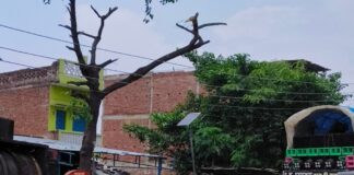 बंजरिया गांव से कांवरिया टोली अयोध्या रवाना:सावन में गूंजे ‘बोल बम’ के जयकारे, भक्तिमय हुआ माहौल