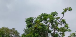 लालगंज में अज्ञात कार की टक्कर से दो कांवरिये घायल:एक की हालत गंभीर, लखनऊ रेफर किया गया