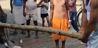 गौवंश नाले में गिरा, पुलिस-स्थानीय लोगों ने बचाया:श्रावस्ती के इकौना में साईं बाबा मंदिर के पास हुई घटना