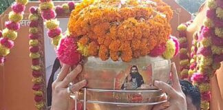 बस्ती में गुरु रविदास जयंती पर कलश वंदन यात्रा:भाजपा ने समरसता संकल्प अभियान के तहत किया स्वागत