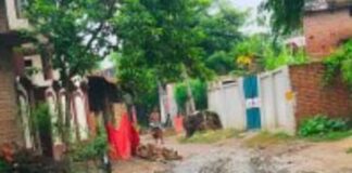 महराजगंज में सड़क खराब होने से ग्रामीण परेशान:कीचड़ में फिसलकर चोटिल हो रहे राहगीर, मंत्री से शिकायत