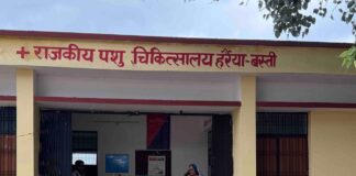 हर्रैया में खुरपका-मुंहपका टीकाकरण अभियान जारी:22,100 मवेशियों को टीका लगाने का लक्ष्य, सहयोग की अपील