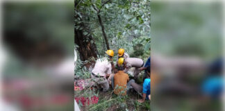 हिमाचल में बड़ा हादसा: दो युवक सवार ऑल्टो कार खाई में गिरी