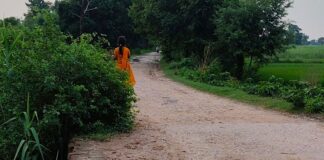 महराजगंज के भोथीयाही में रेलिंग विहीन पुलिया:ग्रामीणों, किसानों और राहगीरों को हादसे का डर, मरम्मत की मांग