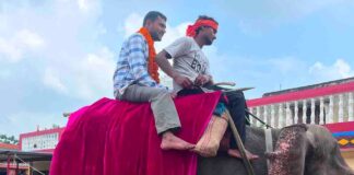बस्ती में बैंड-बाजे और ढोल-नगाड़ों के साथ स्वागत:ग्राम पंचायत अधिकारी बने बेटे का पिता ने हाथी पर बैठाकर निकाला जुलूस